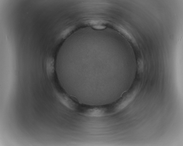 X0000112150356200908071120