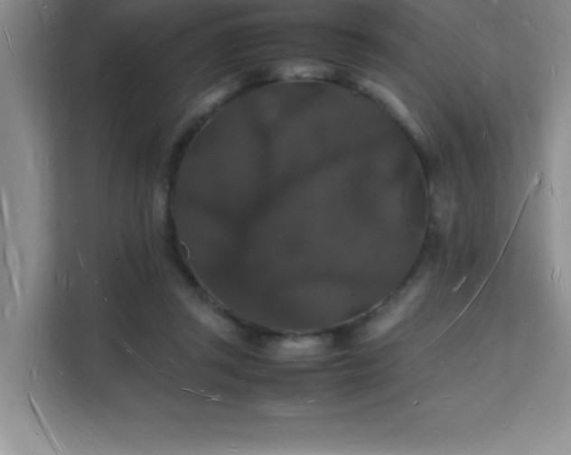 X0000112150357200908071120