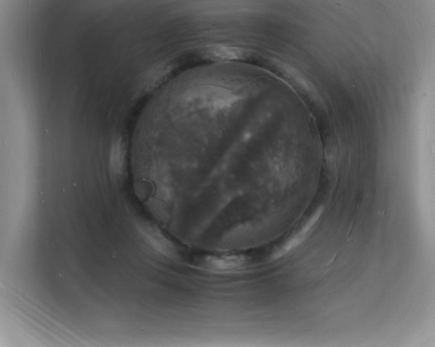 X0000112150359200908071120