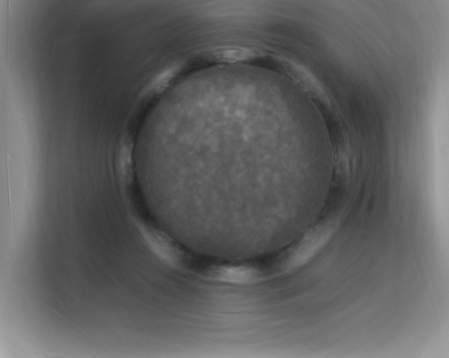 X0000112150360200908071120
