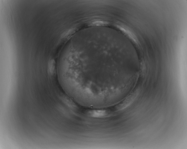 X0000112150361200908071120