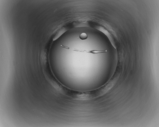 X0000112150362200908071120