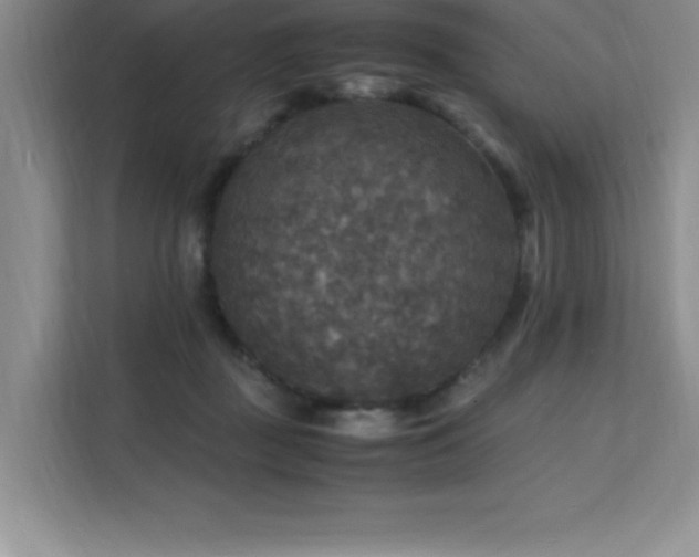 X0000112150363200908071120