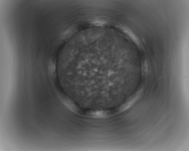 X0000112150365200908071121