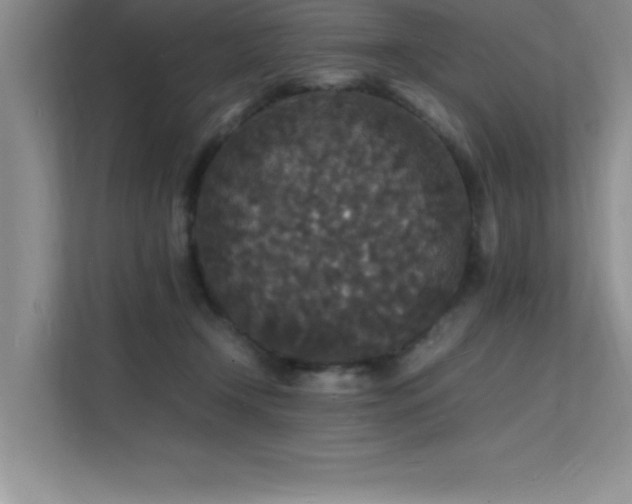 X0000112150366200908071121