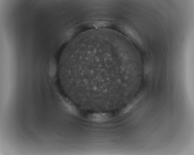 X0000112150367200908071121