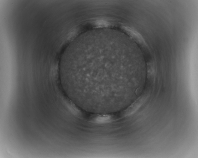 X0000112150369200908071121