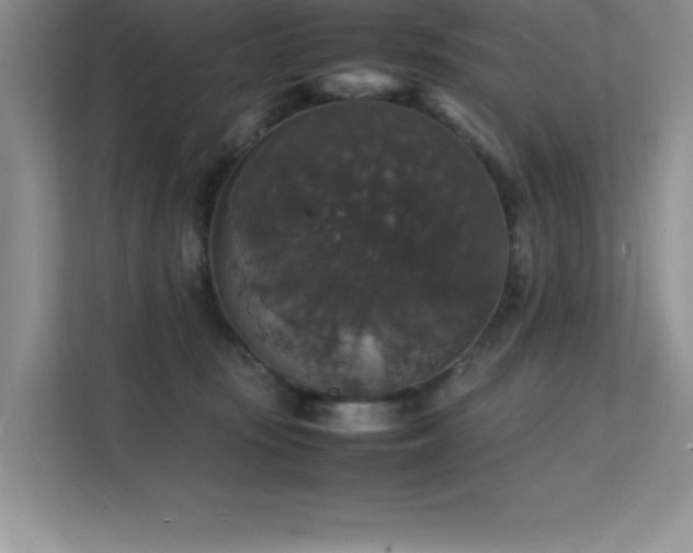 X0000112150371200908071121
