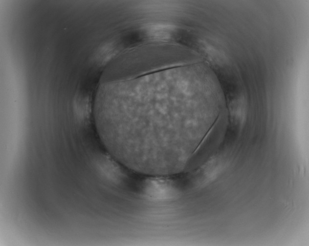 X0000112150372200908071121