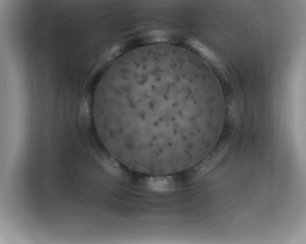 X0000112150373200908071121