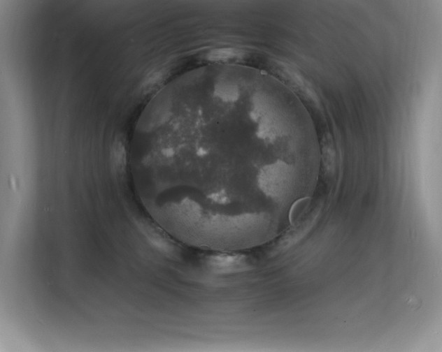 X0000112150375200908071121