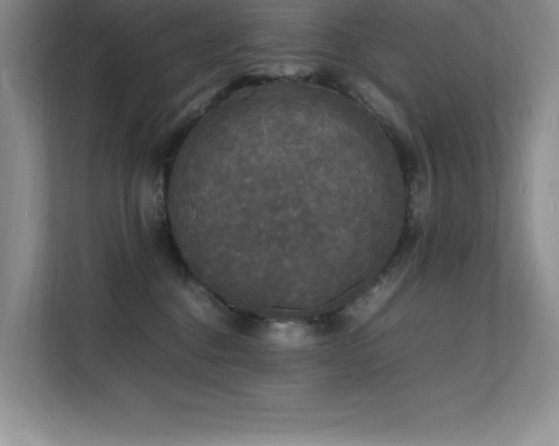 X0000112150376200908071121