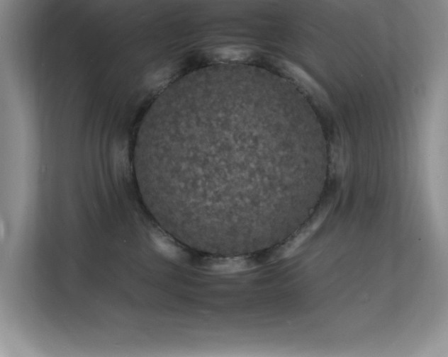 X0000112150377200908071121