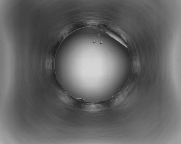 X0000112150379200908071121