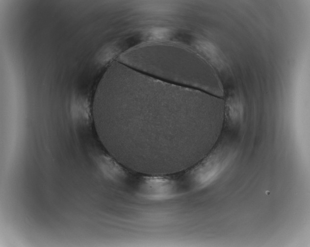 X0000112150380200908071121
