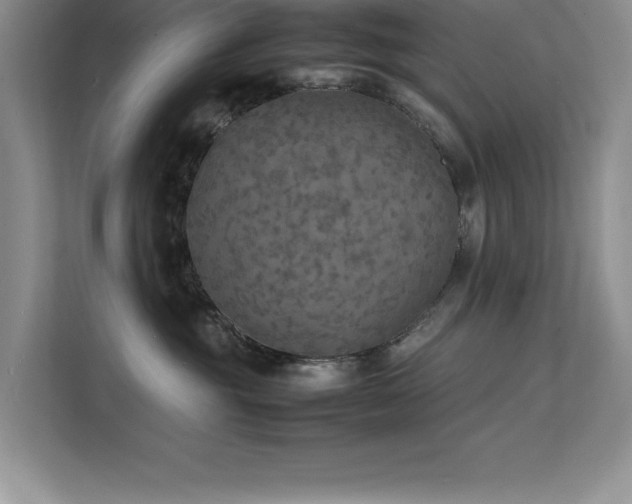 X0000112150381200908071121
