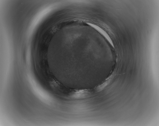 X0000112150382200908071121