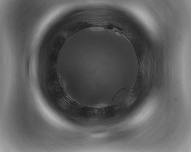 X0000112150383200908071121