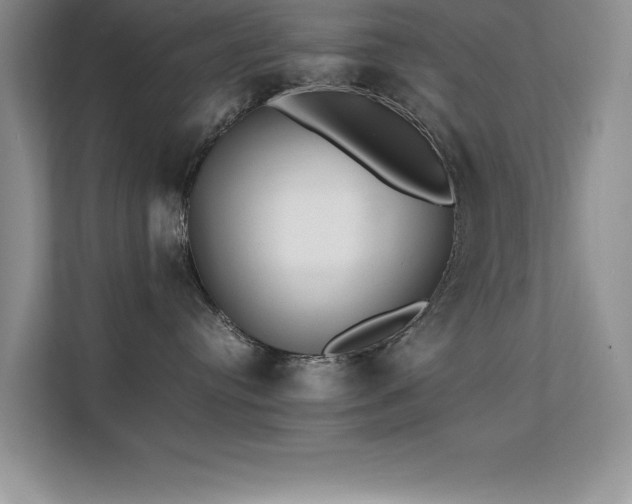 X0000112150384200908071121