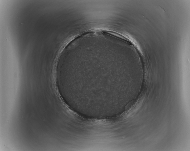 X0000112150385200908071120