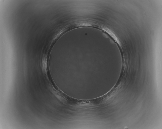 X0000112150386200908071120