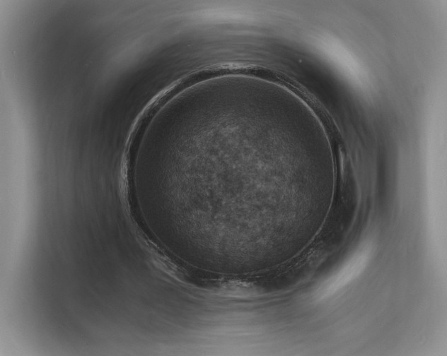 X0000112150387200908071120