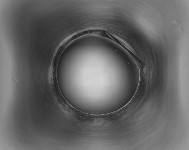 X0000112150388200908071120