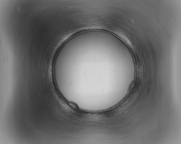 X0000112150389200908071120