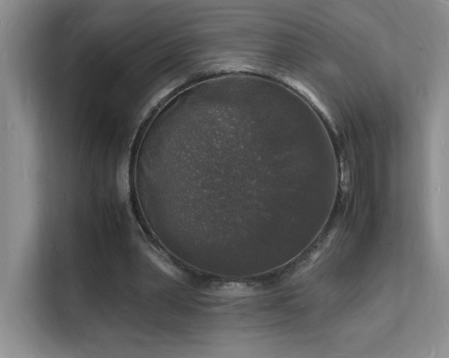 X0000112150390200908071120