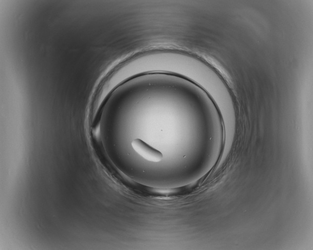 X0000112150391200908071120