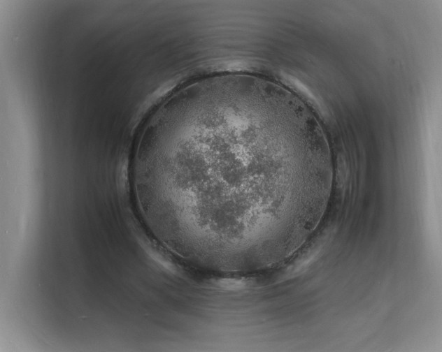 X0000112150394200908071120