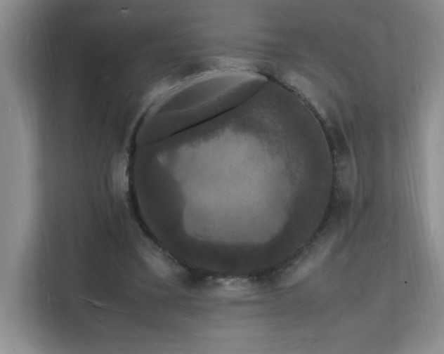 X0000112150395200908071120