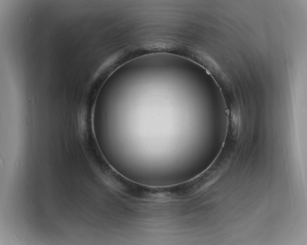 X0000112150396200908071120