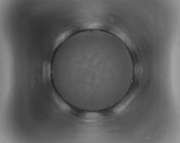 X0000112150397200908071120
