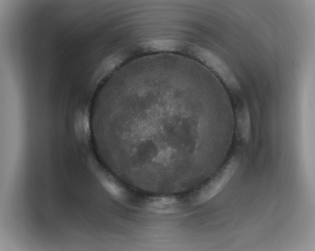 X0000112150398200908071120