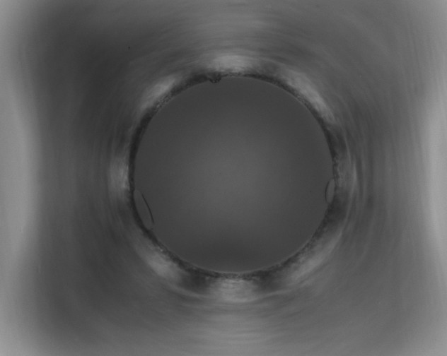 X0000112150399200908071120