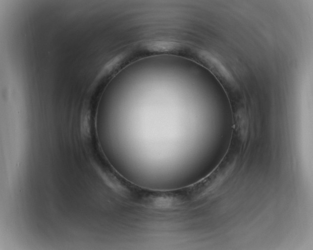 X0000112150400200908071120
