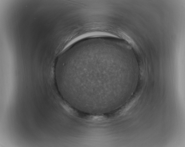 X0000112150401200908071120