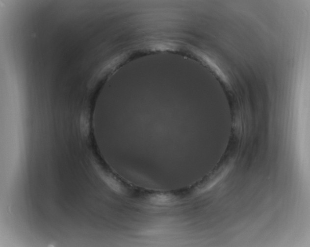 X0000112150402200908071120