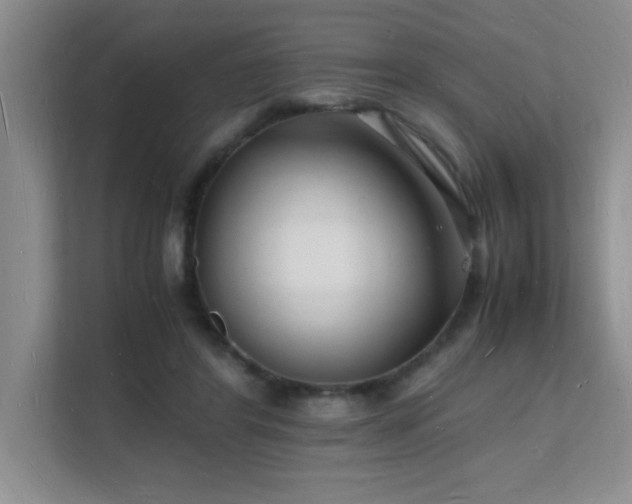 X0000112150404200908071120