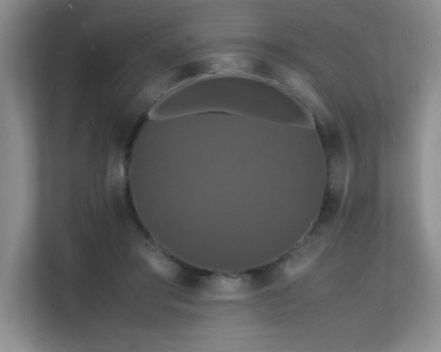 X0000112150405200908071120