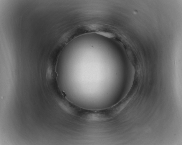 X0000112150408200908071120