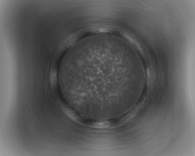 X0000112150410200908071120