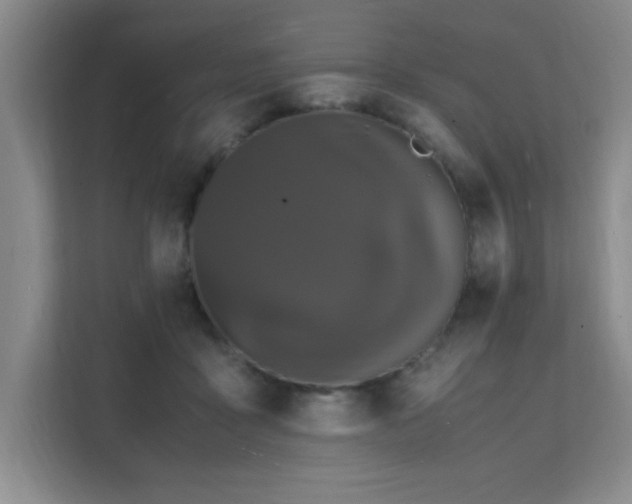 X0000112150411200908071120