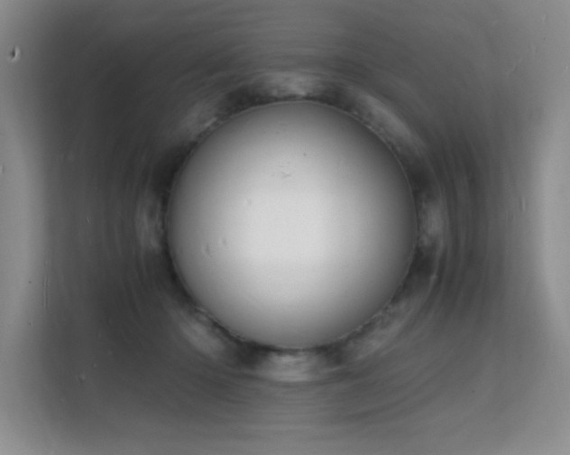 X0000112150414200908071120