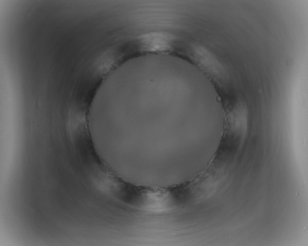 X0000112150415200908071120