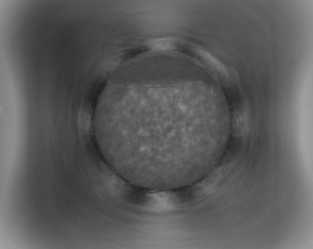 X0000112150417200908071120
