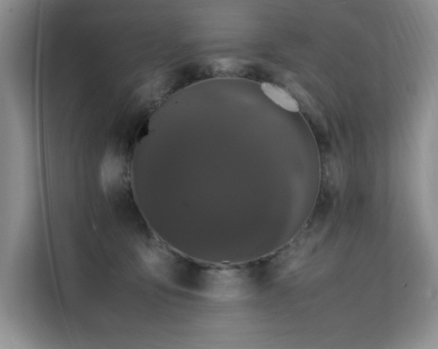 X0000112150419200908071120
