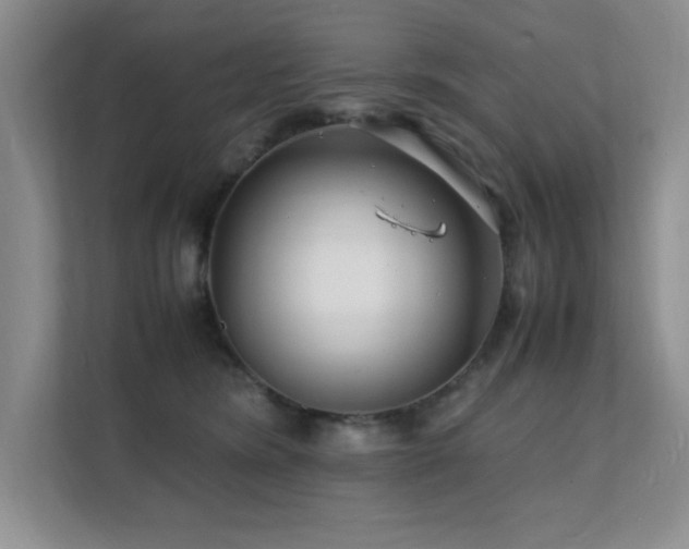 X0000112150420200908071120
