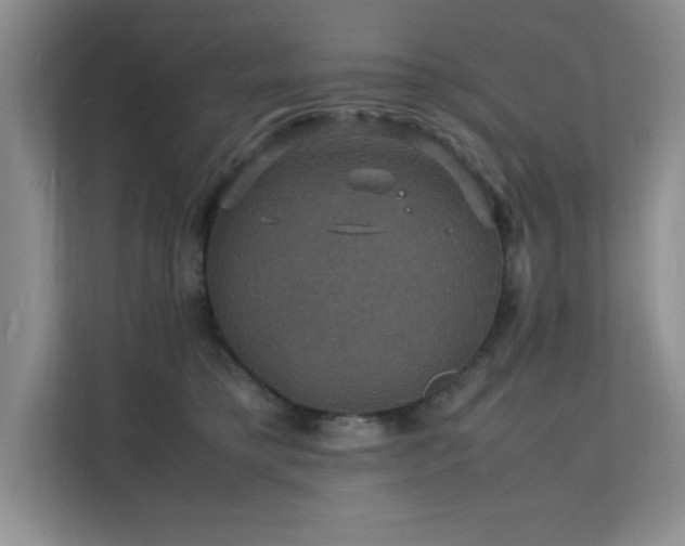 X0000112150421200908071120